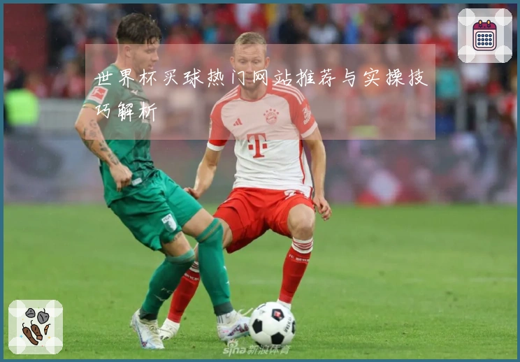 世界杯买球热门网站推荐与实操技巧解析