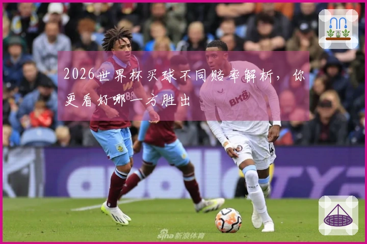 2026世界杯买球不同赔率解析，你更看好哪一方胜出