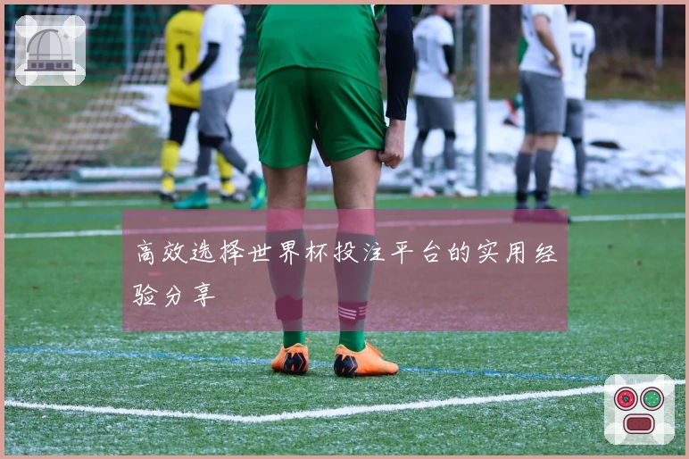 高效选择世界杯投注平台的实用经验分享