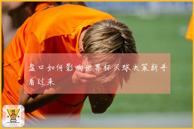 盘口如何影响世界杯买球决策新手看过来