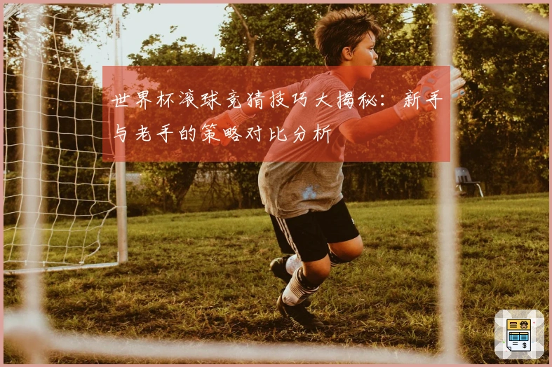 世界杯滚球竞猜技巧大揭秘：新手与老手的策略对比分析