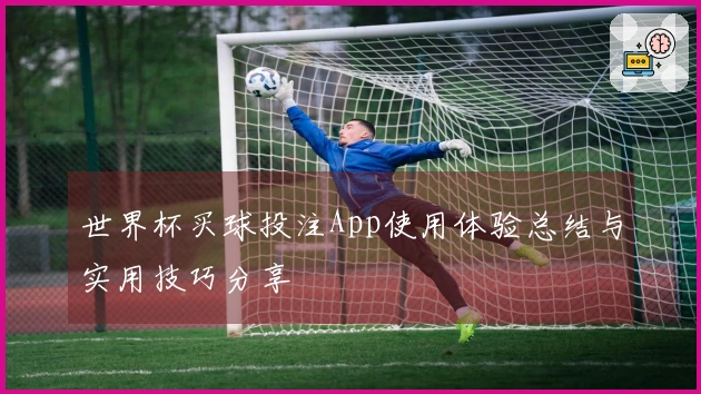 世界杯买球投注App使用体验总结与实用技巧分享