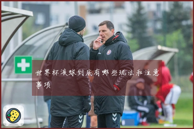 世界杯滚球到底有哪些玩法和注意事项