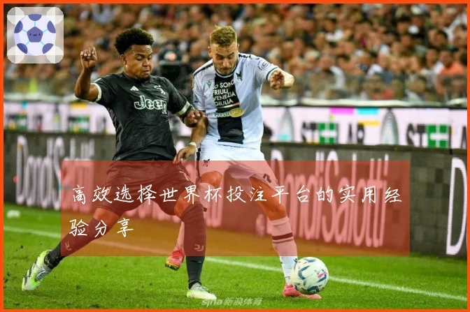 高效选择世界杯投注平台的实用经验分享