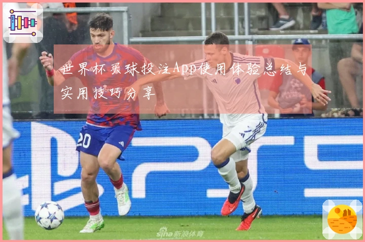 世界杯买球投注App使用体验总结与实用技巧分享