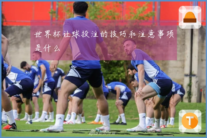 世界杯让球投注的技巧和注意事项是什么