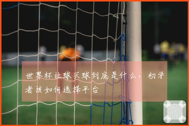 世界杯让球买球到底是什么，初学者该如何选择平台
