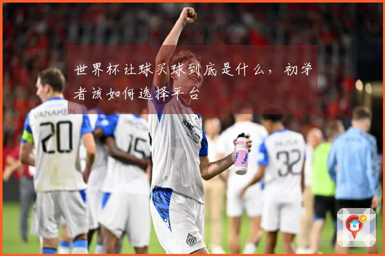 世界杯让球买球到底是什么，初学者该如何选择平台