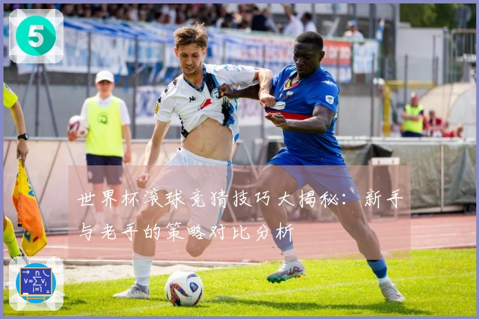 世界杯滚球竞猜技巧大揭秘：新手与老手的策略对比分析